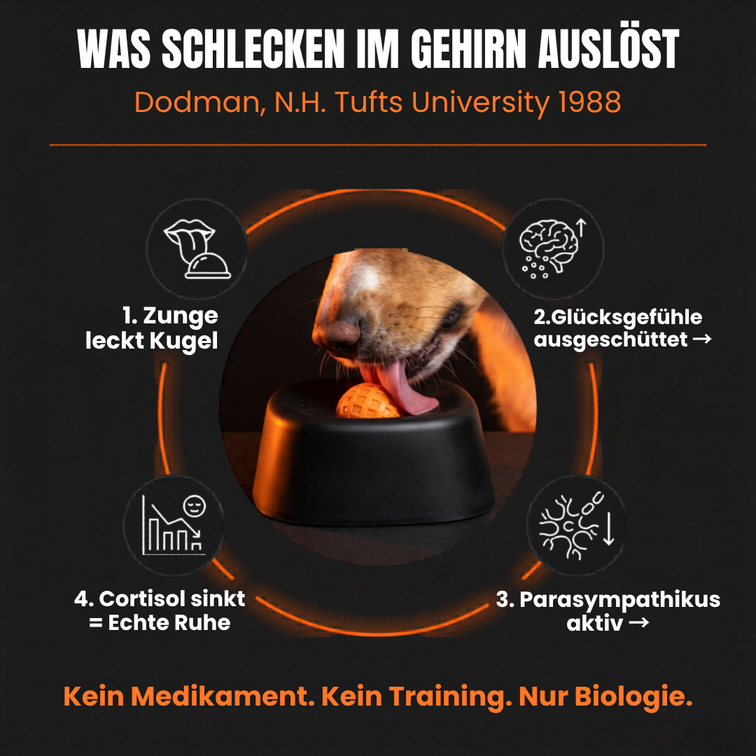 LickEase™ | Ruhig und glücklich, auch wenn Sie nicht da sind