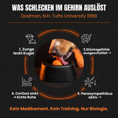 LickEase™ | Ruhig und glücklich, auch wenn Sie nicht da sind