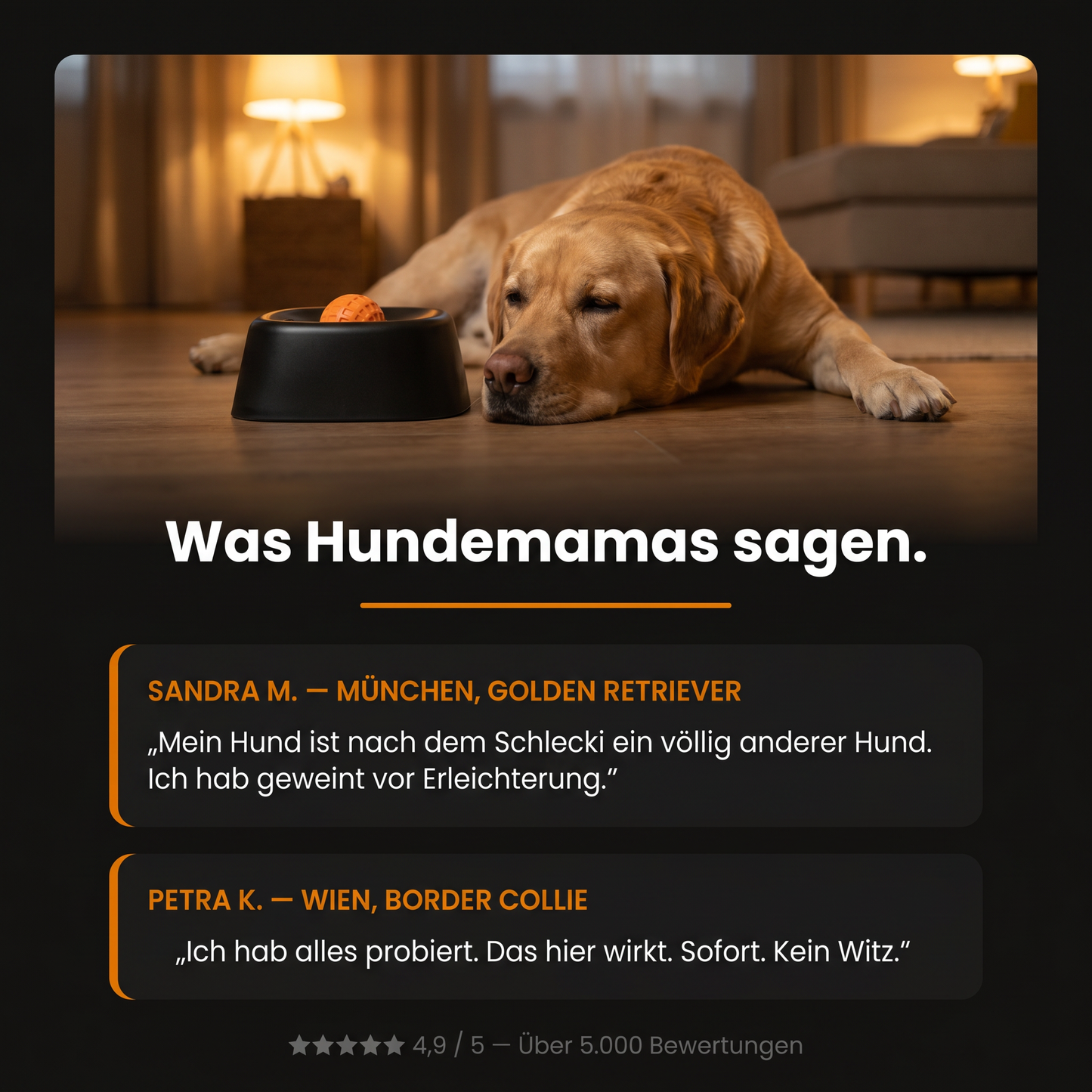 LickEase™ | Ruhig und glücklich, auch wenn Sie nicht da sind